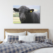 Zwarte stier van angus canvas afdruk (Insitu (Slaapkamer))