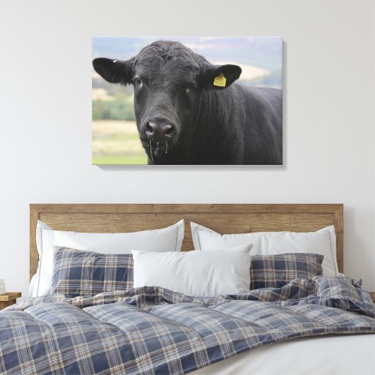 Zwarte stier van angus canvas afdruk (Insitu (Slaapkamer))