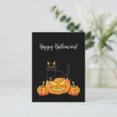 Zwarte, stijlvolle, Happy Halloween Cat & Pumpkin  Briefkaart (Staand voorkant)