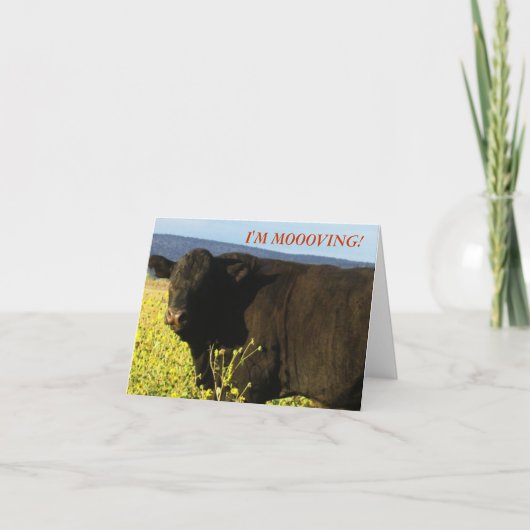 Zwarte stip in bloemen - Westerne adreswijziging Aankondiging (Voorkant)