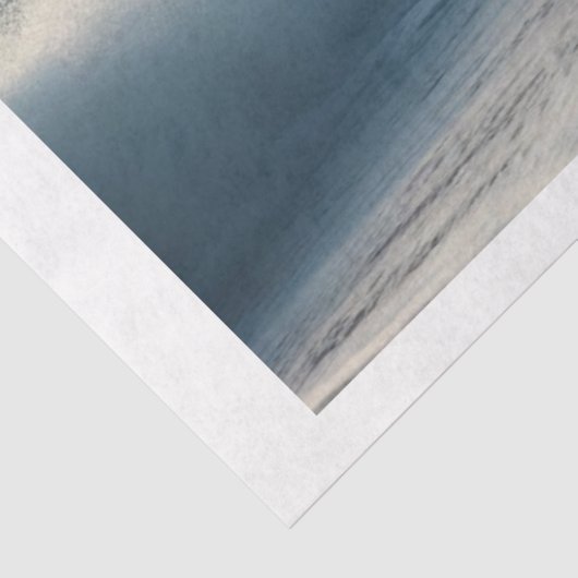 zwarte strandhengst tissuepapier (Detail)