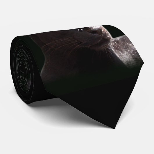 Zwarte Stropdas (Opgerold)