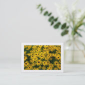 Zwarte Susans (Rudbeckia hirta) (begrensd) Visitekaartje (Staand voorkant)