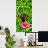 Zwarte Swallowtail Butterfly op een roze ventilato Poster (Thuiskantoor)