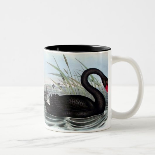 ZWARTE SWAN-MOK TWEEKLEURIGE KOFFIEMOK (Rechts)