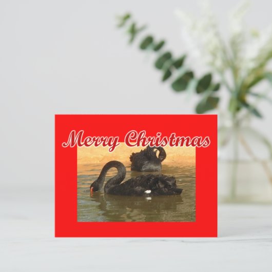 Zwarte swans briefkaart (Staand voorkant)