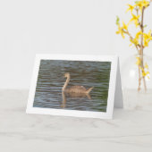 Zwarte-swans-groet (brede rand) kaart (Gele Bloem)