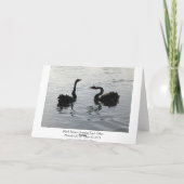 Zwarte-swans-groet (brede rand) kaart (Achterkant)