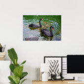 Zwarte swans poster (Thuiskantoor)