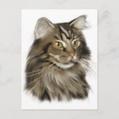 Zwarte tablet Maine Coon Cat Briefkaart (Voorkant)