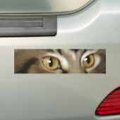 Zwarte tablet Maine Coon Cat Bumpersticker (Op auto)