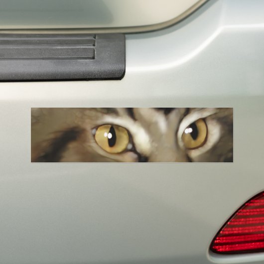 Zwarte tablet Maine Coon Cat Bumpersticker (Op auto)