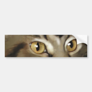 Zwarte tablet Maine Coon Cat Bumpersticker