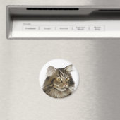 Zwarte tablet Maine Coon Cat Magneet (Insitu (Vaatwasser))