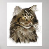 Zwarte tablet Maine Coon Cat Poster (Voorkant)