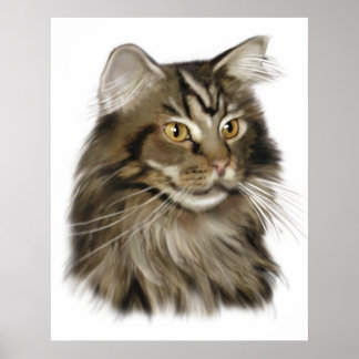 Zwarte tablet Maine Coon Cat Poster