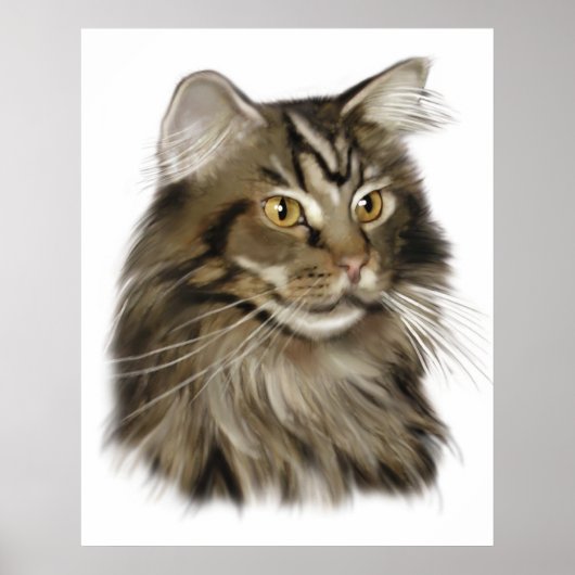 Zwarte tablet Maine Coon Cat Poster (Voorkant)