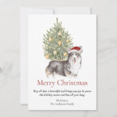 Zwarte Tan White Corgi en kerstboomponden Feestdagenkaart (Voorkant)