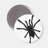 Zwarte Tarantula Koelkast Magnet (Voorkant / Achterkant)