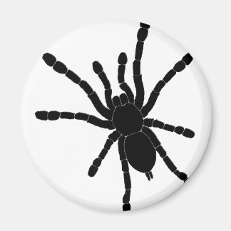Zwarte Tarantula Koelkast Magnet