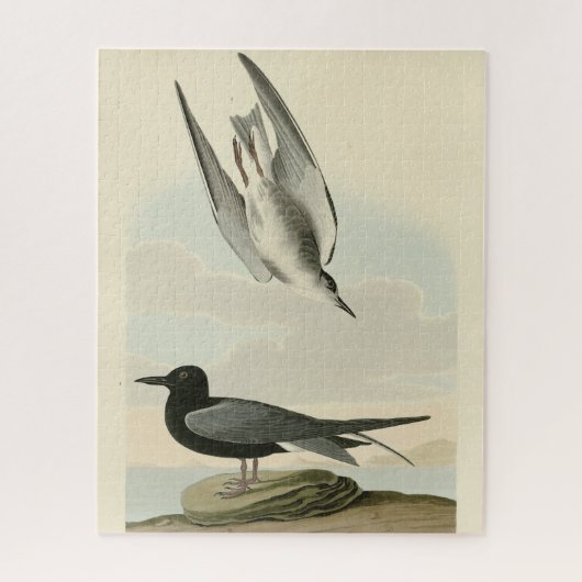 Zwarte Tern uit Audubon's Birds of America Legpuzzel (Verticaal)