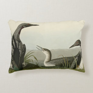 Zwarte-Throated Diver Loon Audubon Birds of Americ Accent Kussen