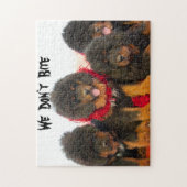 Zwarte Tibetaanse Mastiff hond Jigzaag Puzzle Legpuzzel (Verticaal)