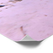 Zwarte tipriethaai op de latten poster (Hoek)