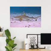 Zwarte tipriethaai op de latten poster (Thuiskantoor)