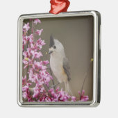 Zwarte Titmouse, Baeolophus Metalen Ornament (Links)