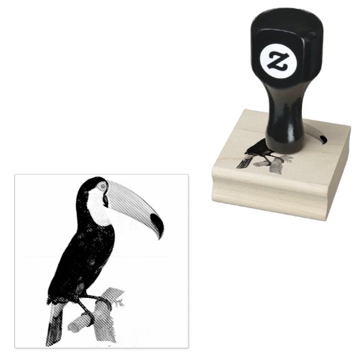  zwarte toucan vogel  illustratie rubberstempel (Gestempeld)