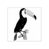  zwarte toucan vogel  illustratie rubberstempel (Afrduk)
