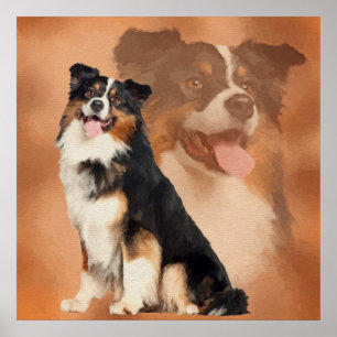 Zwarte tricolor Australian Shepherd - Aussie Poster