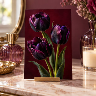 Zwarte Tulp Velvet Uur Kunstprint Poster