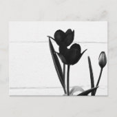 Zwarte Tulpen | Briefkaart (Voorkant)
