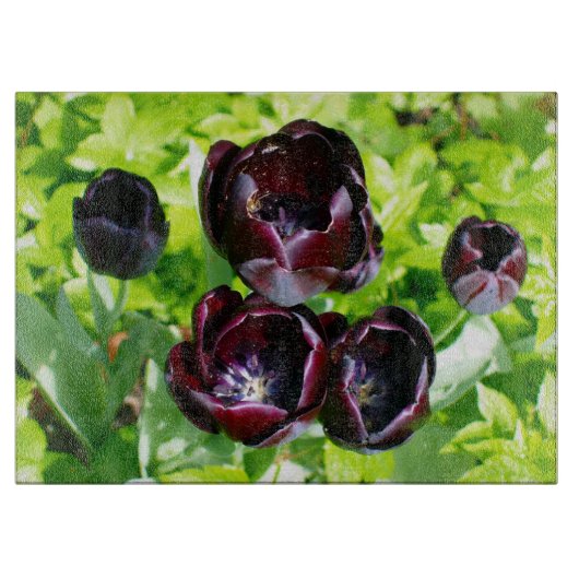 Zwarte Tulpen uit Nederland Snijplank (Voorkant)