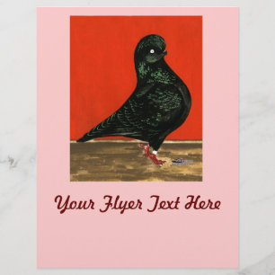 Zwarte Tumbler Duif Aquarel Flyer