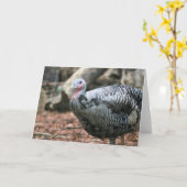 Zwarte Turkije Kaart (Gele Bloem)