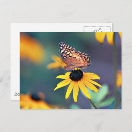 zwarte verf met vlinder 2 briefkaart (Voorkant / Achterkant)