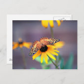 zwarte verf met vlinder 3 briefkaart (Voorkant / Achterkant)