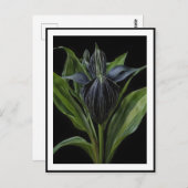 Zwarte vleermuis Plant op zwart, Briefkaart (Voorkant / Achterkant)