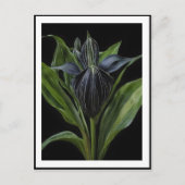 Zwarte vleermuis Plant op zwart, Briefkaart (Voorkant)