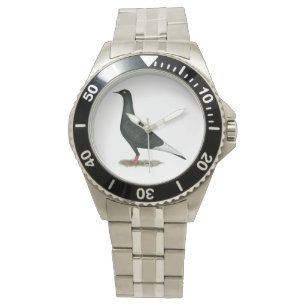 Zwarte vliegduif horloge