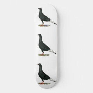 Zwarte vliegduif persoonlijk skateboard