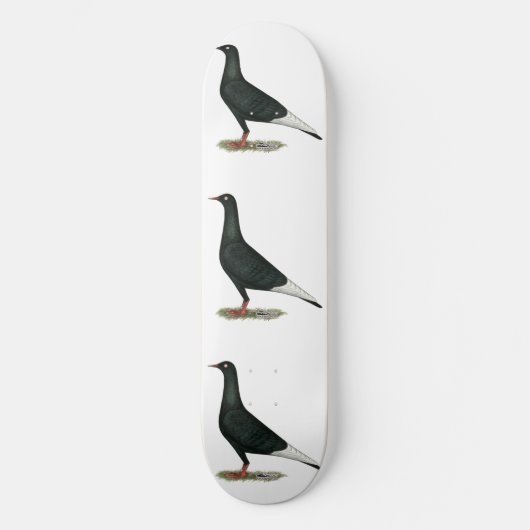 Zwarte vliegduif persoonlijk skateboard (Voorkant)