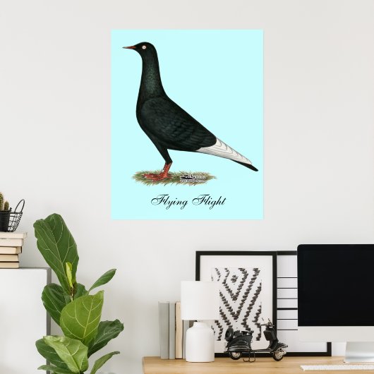 Zwarte vliegduif poster (Thuiskantoor)