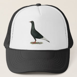 Zwarte vliegduif trucker pet