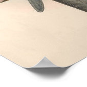  zwarte vlieger poster (Hoek)