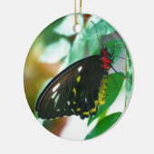 Zwarte Vlinder Natuur Ornament (Links)