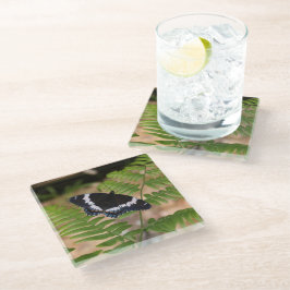 Zwarte vlinder op Fern Glass Onderzetter